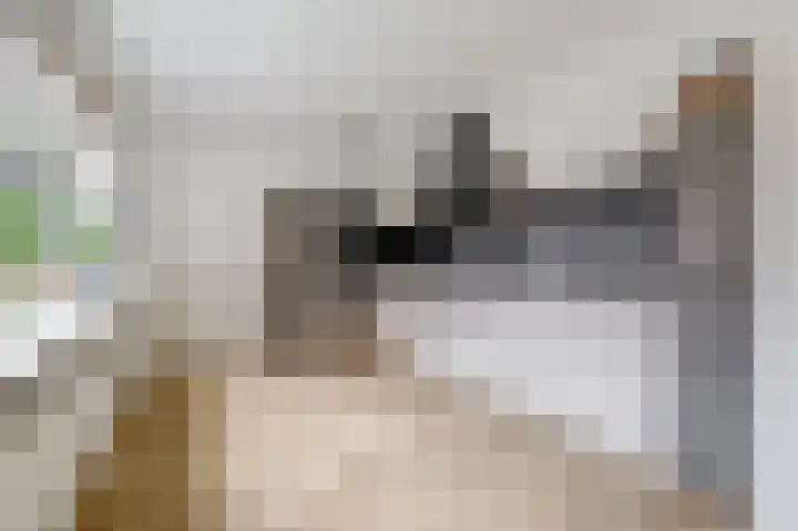 Schoolweg 25 Nunspeet thumbnail 18