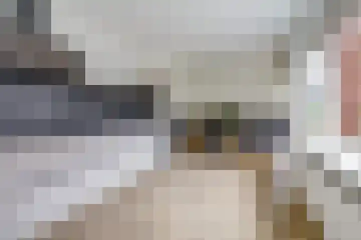 Schoolweg 25 Nunspeet thumbnail 20