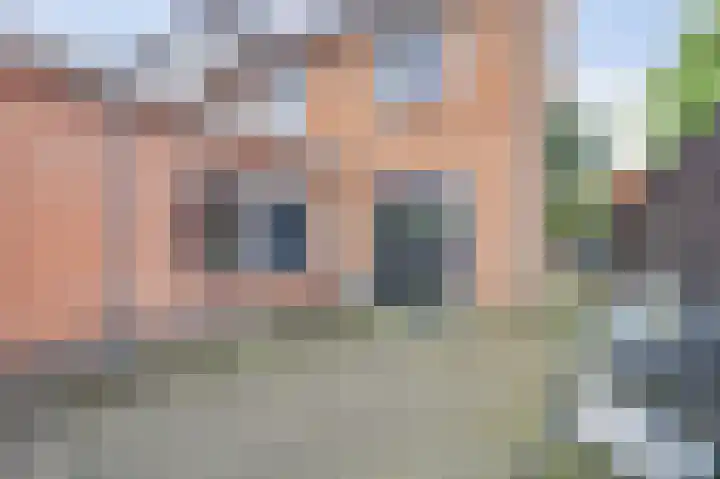 Schoolweg 25 Nunspeet thumbnail 39
