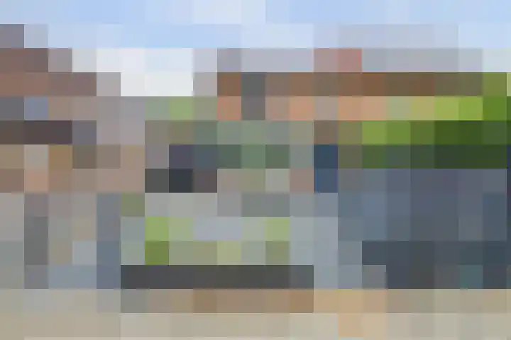Schoolweg 25 Nunspeet thumbnail 4