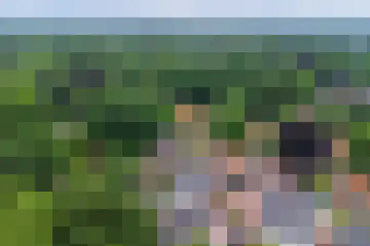 Schoolweg 25 Nunspeet thumbnail 43