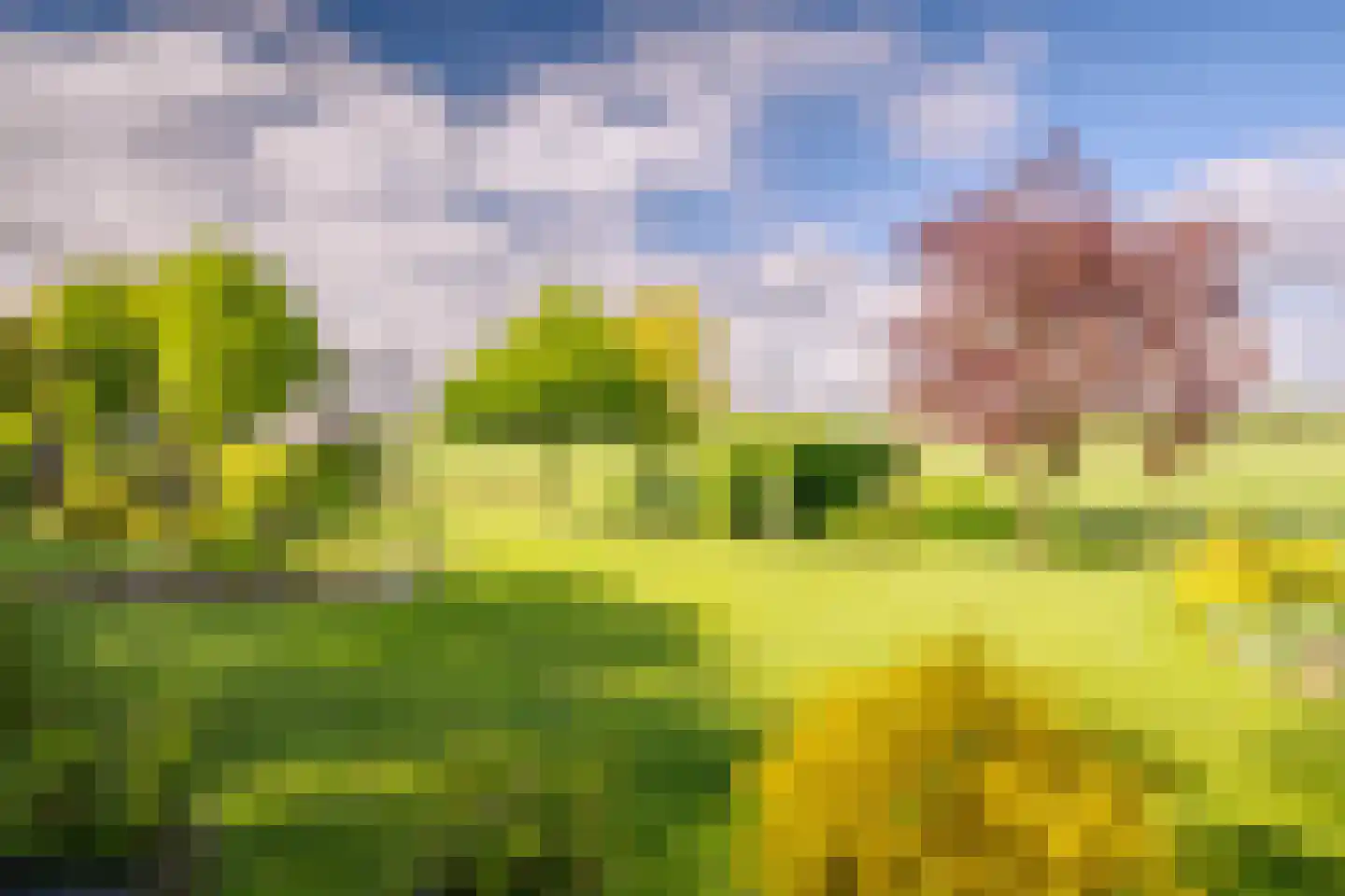 Schoolweg 33 Neede thumbnail 14