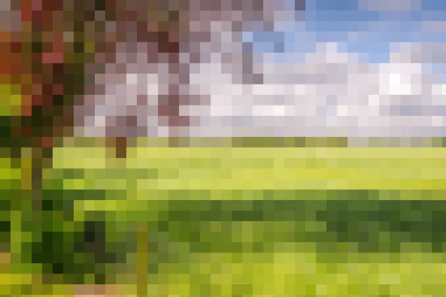Schoolweg 33 Neede thumbnail 15