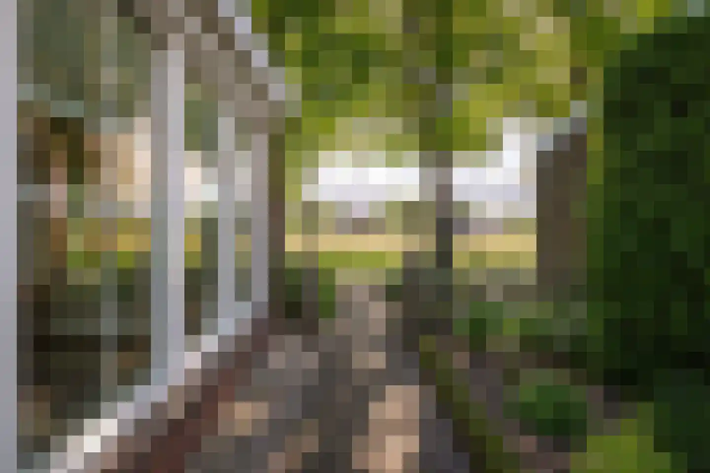 Schoolweg 33 Neede thumbnail 18
