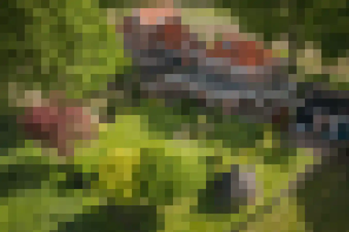 Schoolweg 33 Neede thumbnail 54
