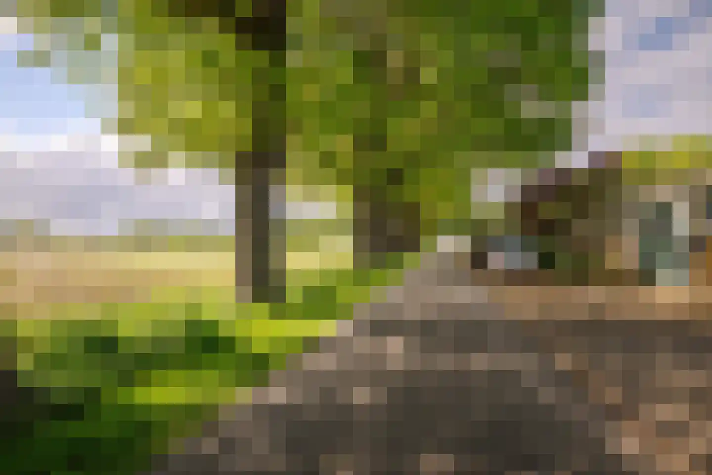Schoolweg 33 Neede thumbnail 71