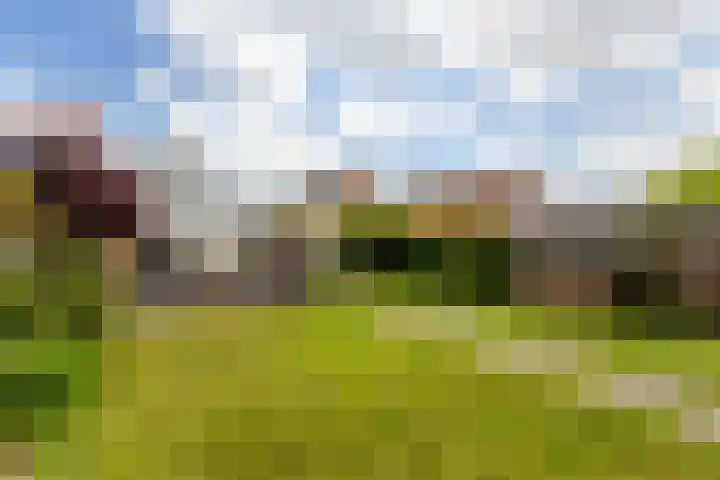 Schoolweg 47 Numansdorp thumbnail 32