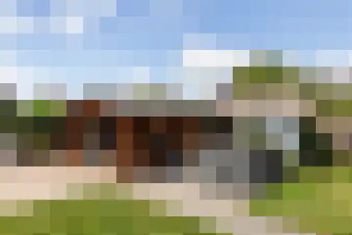 Schoolweg 47 Numansdorp thumbnail 35