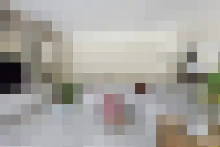 Schoolweg 51 a Numansdorp thumbnail 19