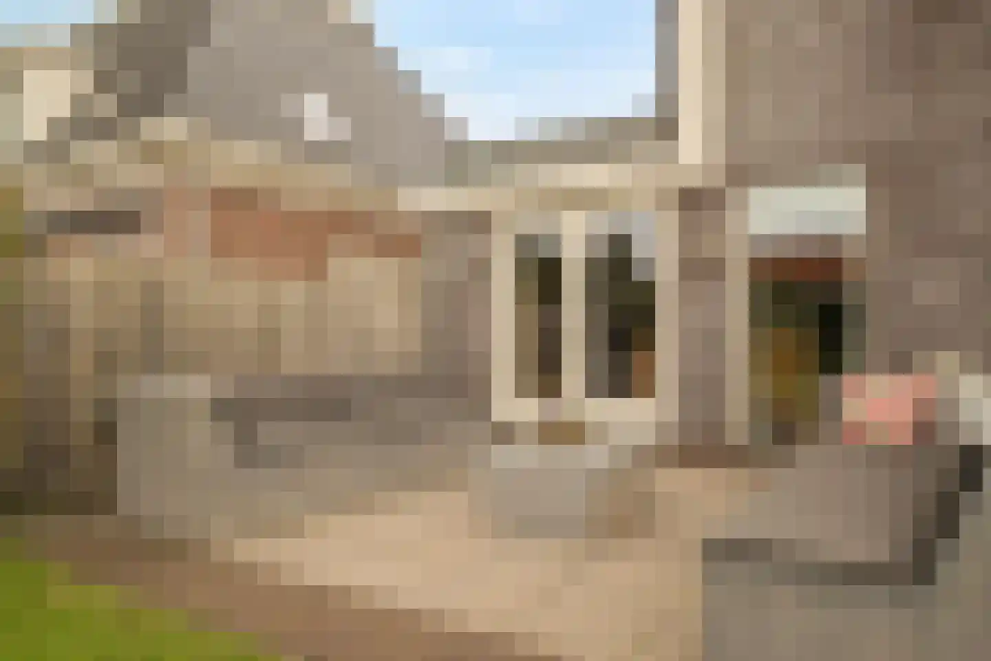 Schoolweg 64 Julianadorp thumbnail 46