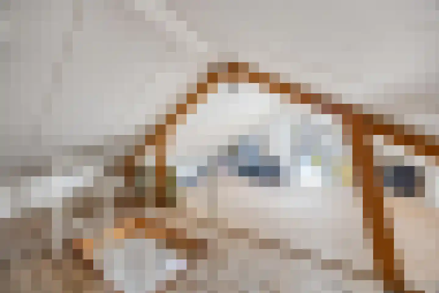 Schoolweg 8 Deest thumbnail 30