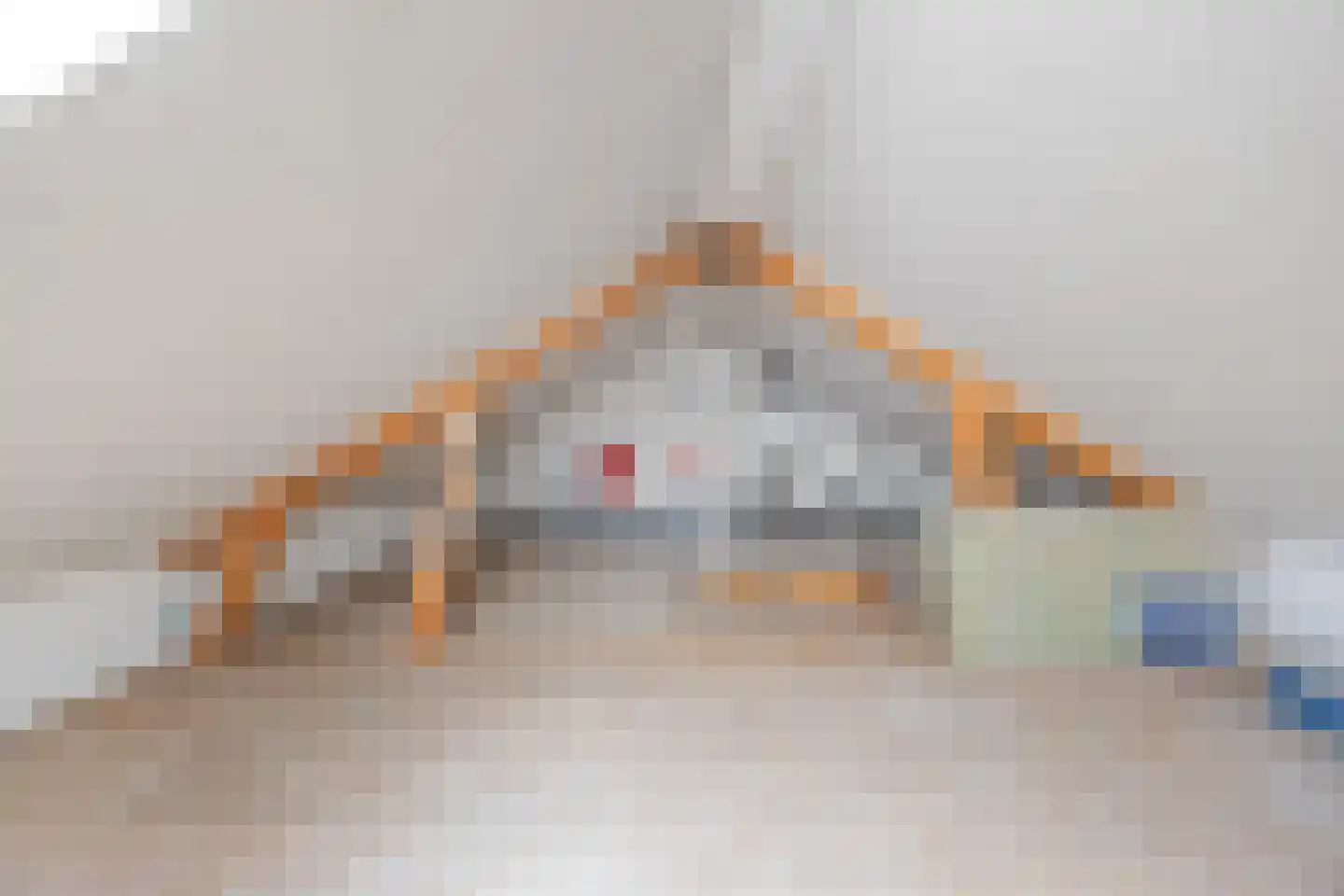 Schoolweg 8 Deest thumbnail 31