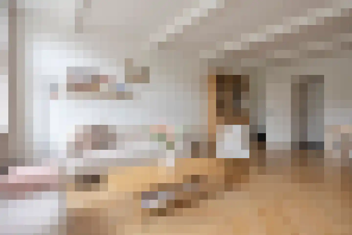 Schoolweg 8 Lekkerkerk thumbnail 5