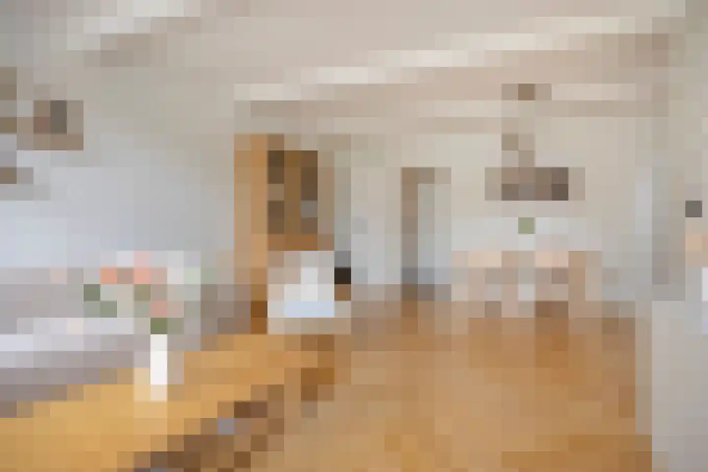 Schoolweg 8 Lekkerkerk thumbnail 6