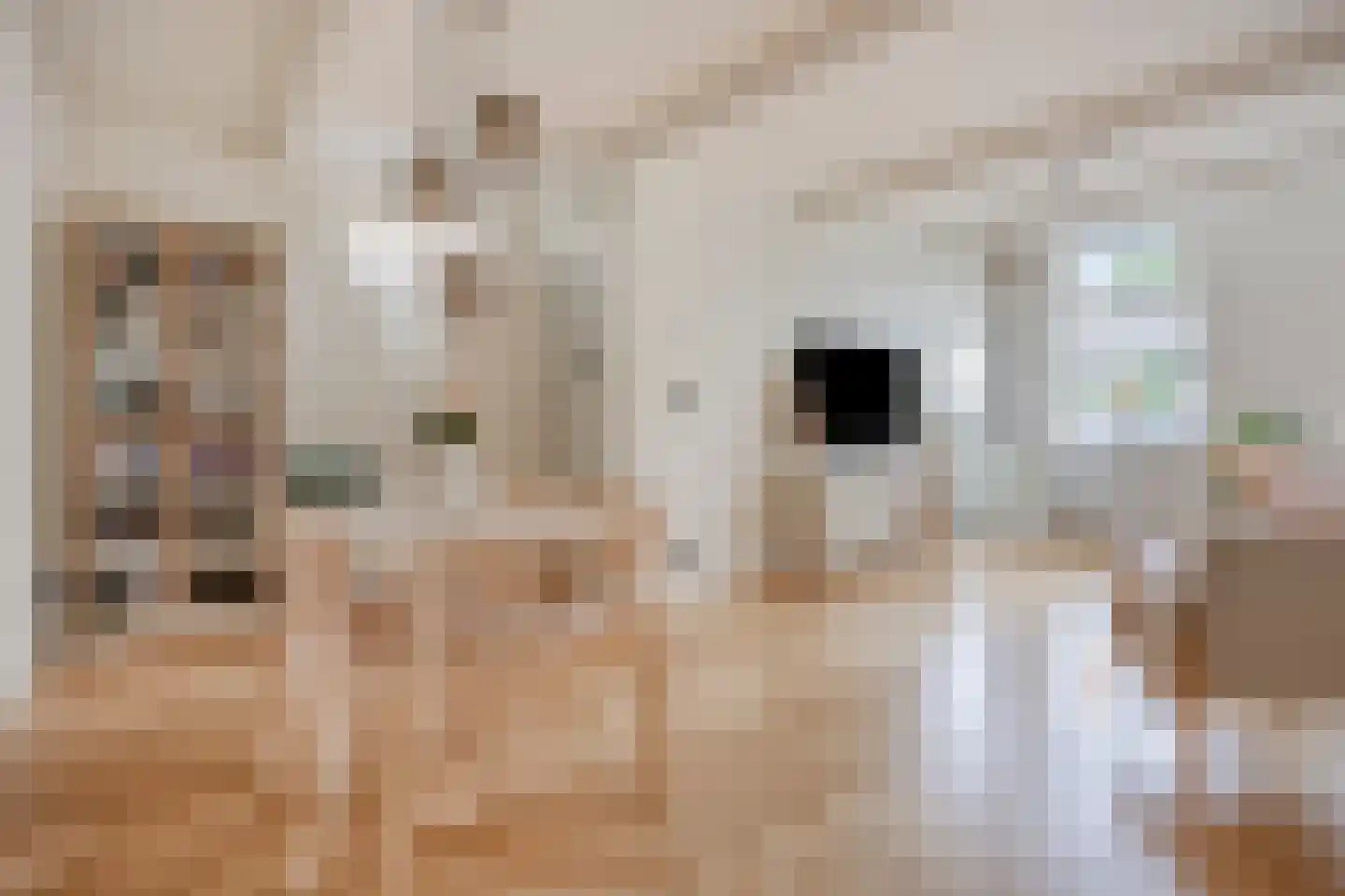 Schoolweg 8 Lekkerkerk thumbnail 8