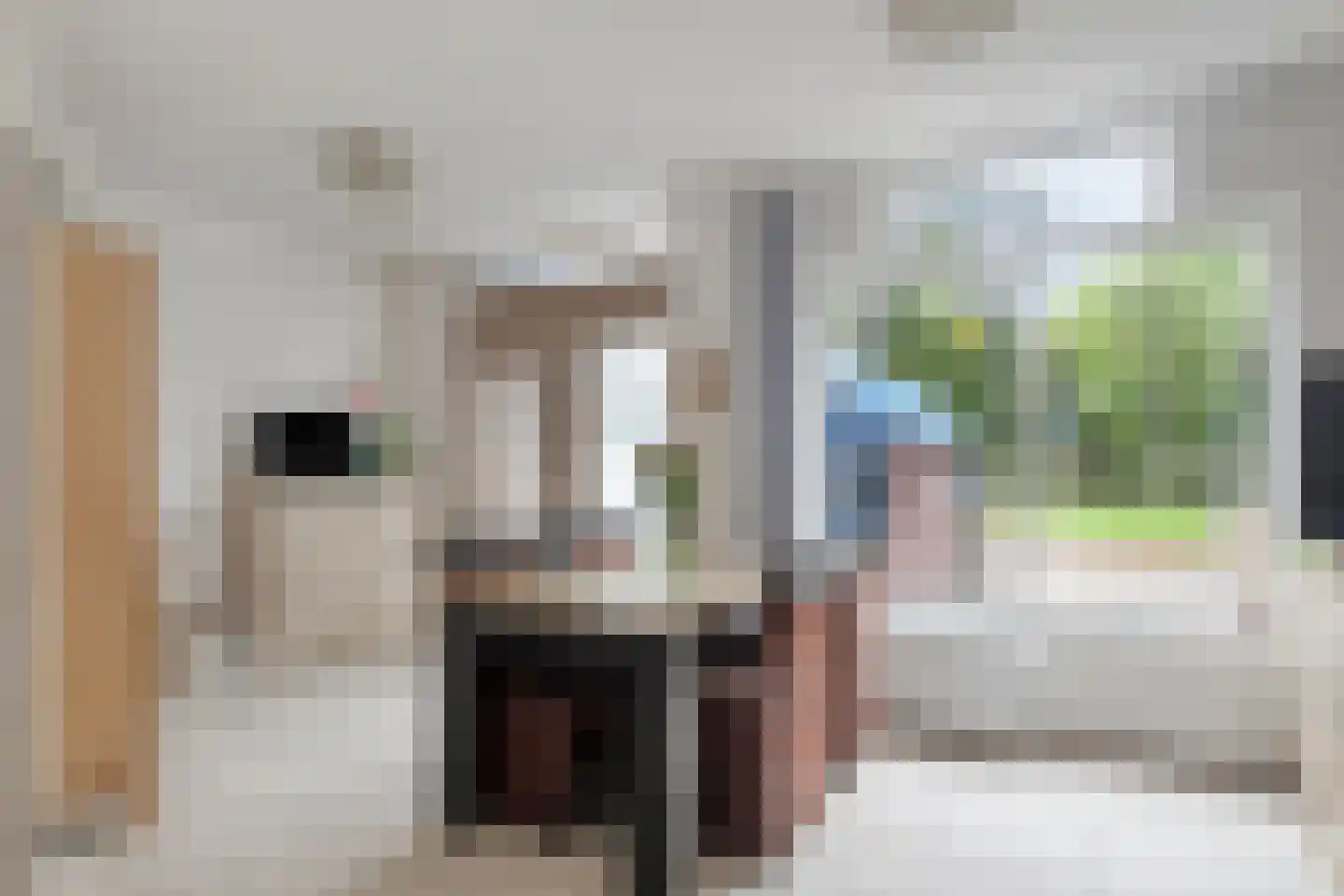 Schoolwerf 186 Almere thumbnail 14