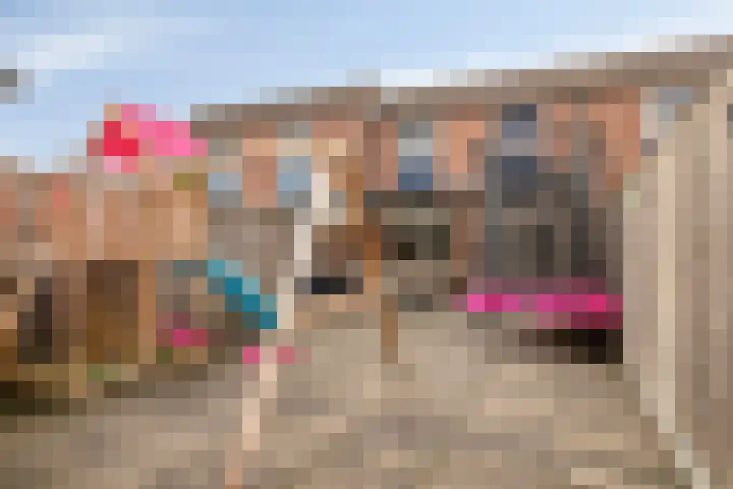 Schoolwerf 186 Almere thumbnail 31