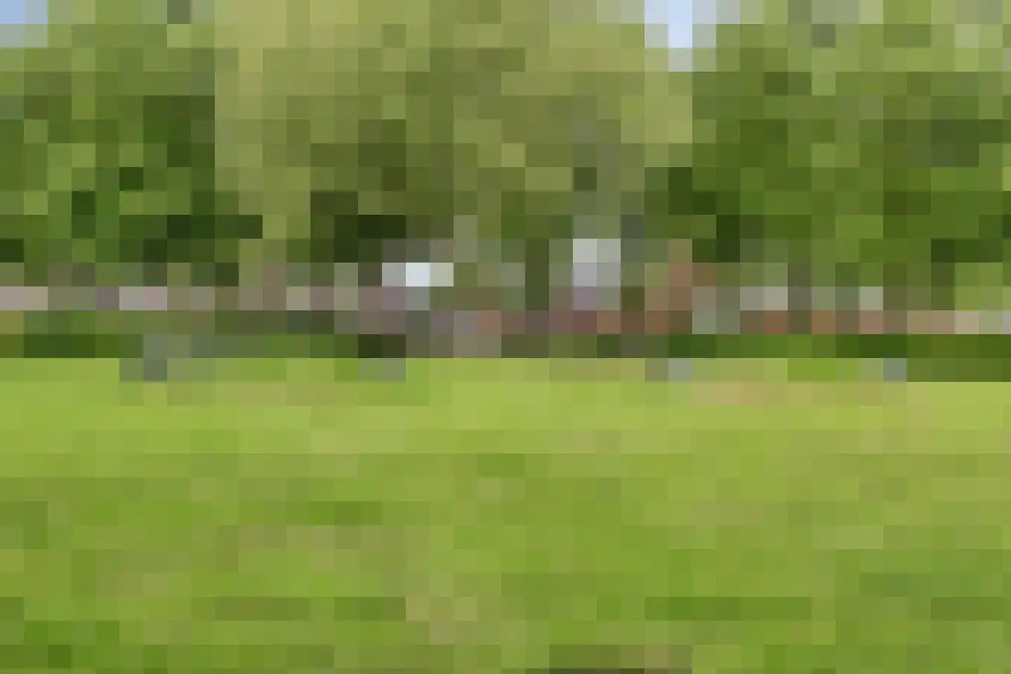 Schoolwerf 210 Almere thumbnail 38