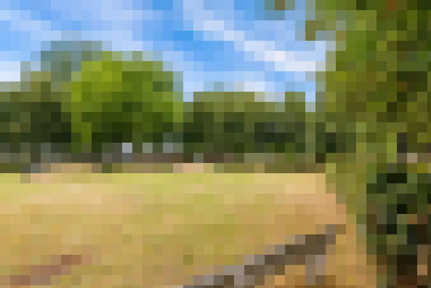 Schoolwerf 210 Almere thumbnail 49