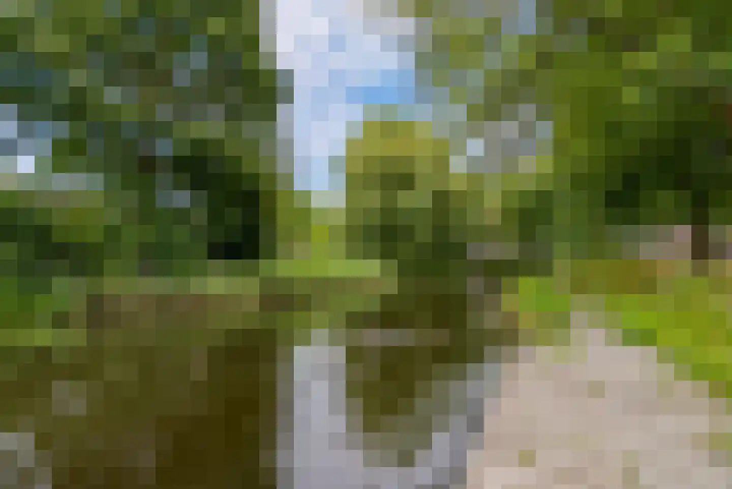 Schoolwerf 210 Almere thumbnail 9