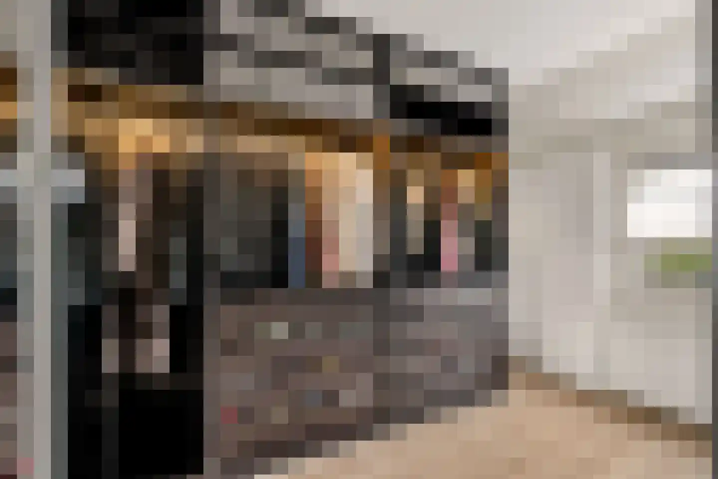 Schoolwerf 34 Almere thumbnail 21