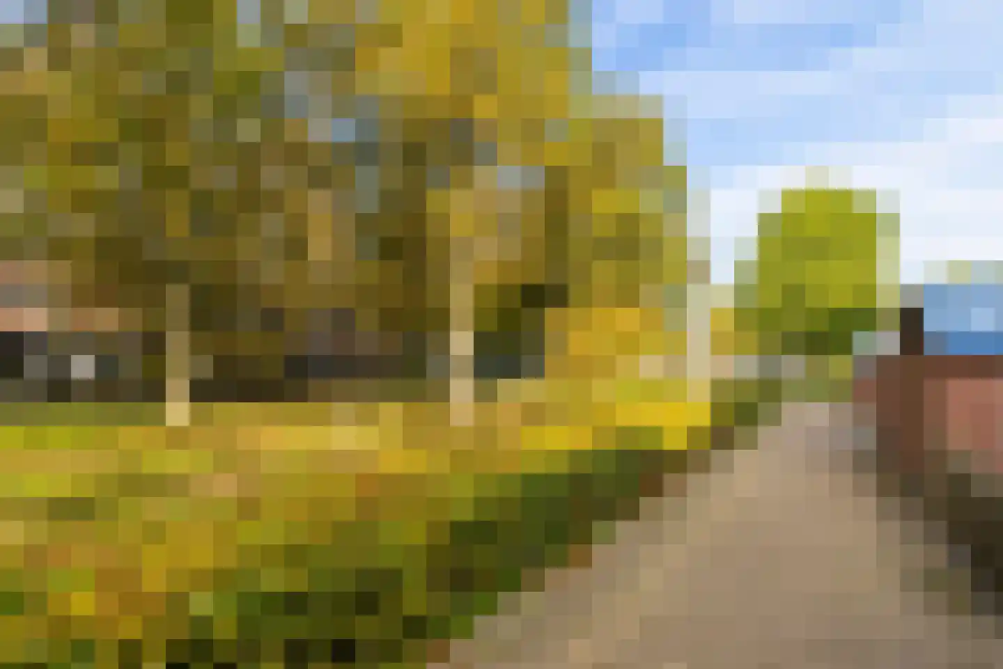 Schoolwerf 34 Almere thumbnail 36