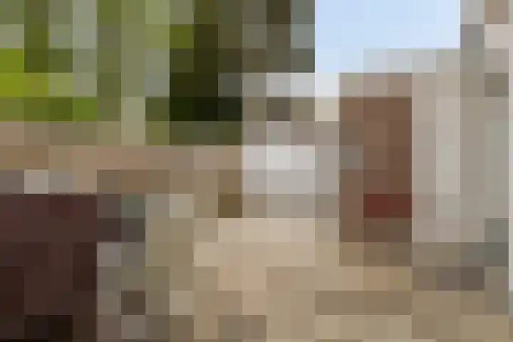 Schoolwerf 36 Almere