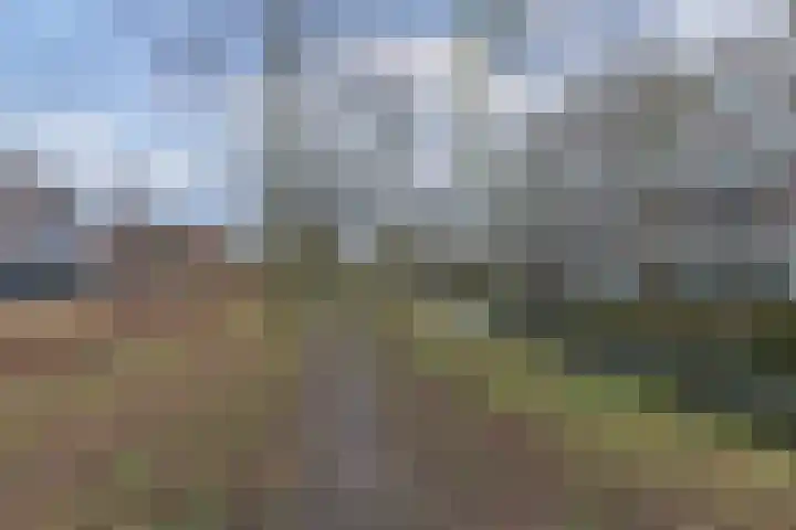 Schoolwerf 36 Almere thumbnail 30