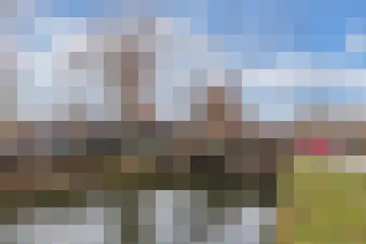 Schoolwerf 36 Almere thumbnail 31