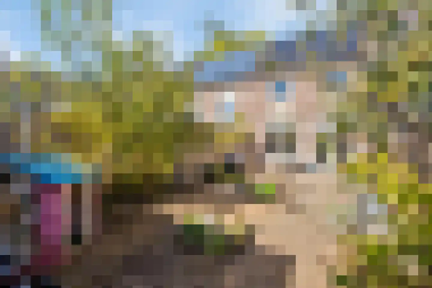 Schoolwerf 62 Almere thumbnail 34