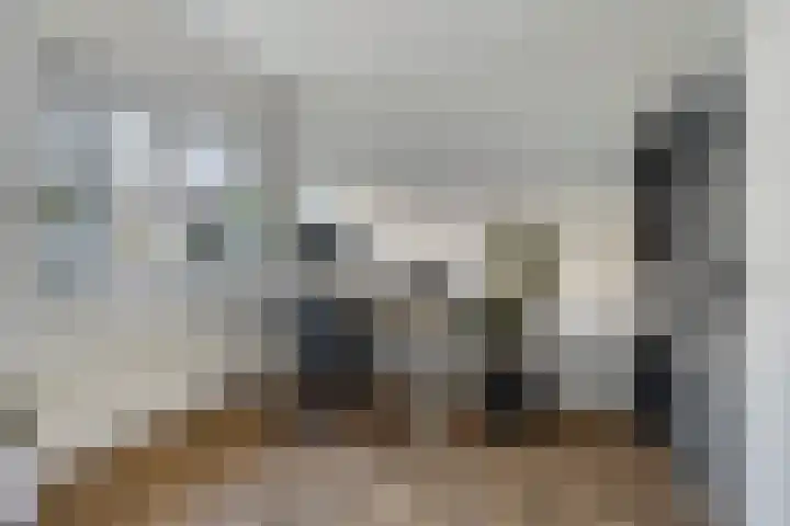 Team foto van Schoon Makelaardij