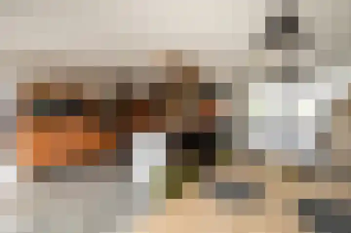 Schoon Schip 9 Enkhuizen thumbnail 10