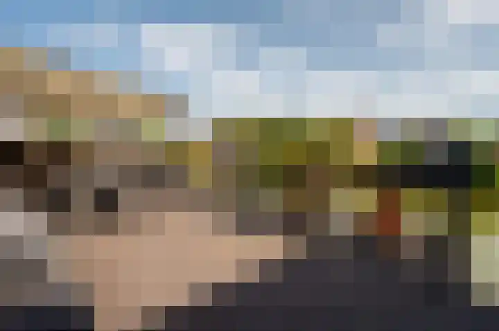 Schoon Schip 9 Enkhuizen thumbnail 27