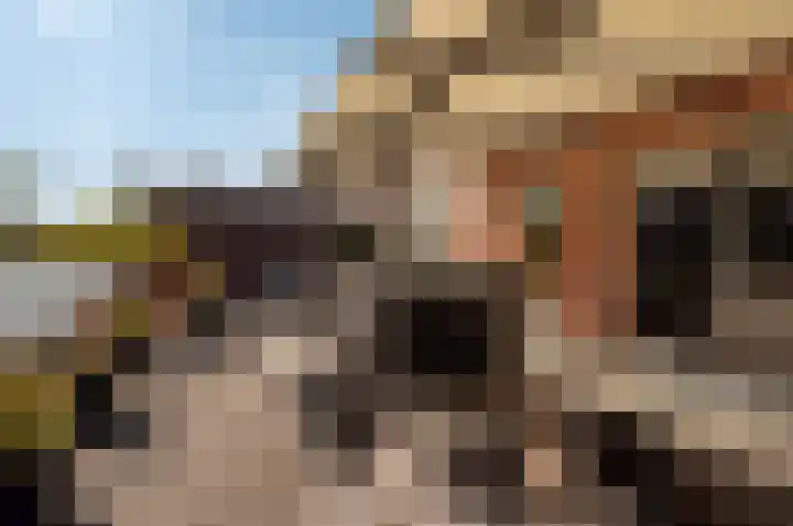 Schoon Schip 9 Enkhuizen thumbnail 28