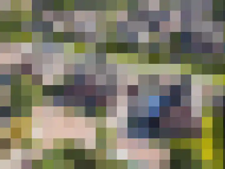 Schoon Schip 9 Enkhuizen thumbnail 4