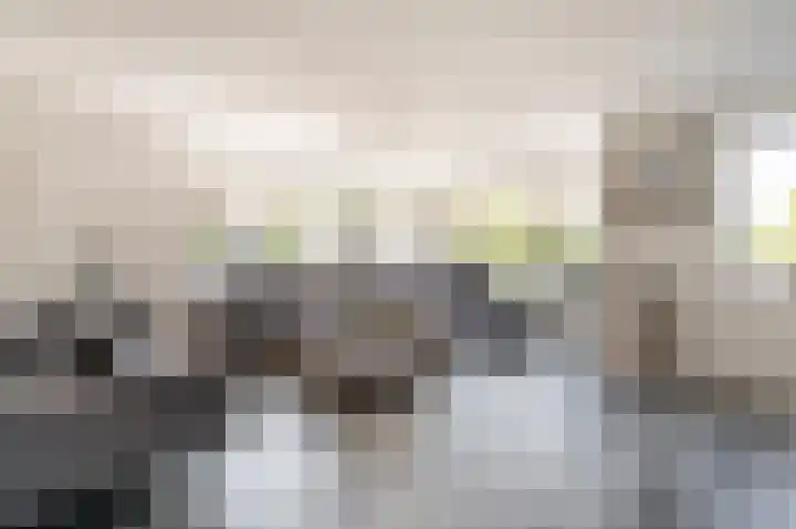 Schoon Schip 9 Enkhuizen thumbnail 8