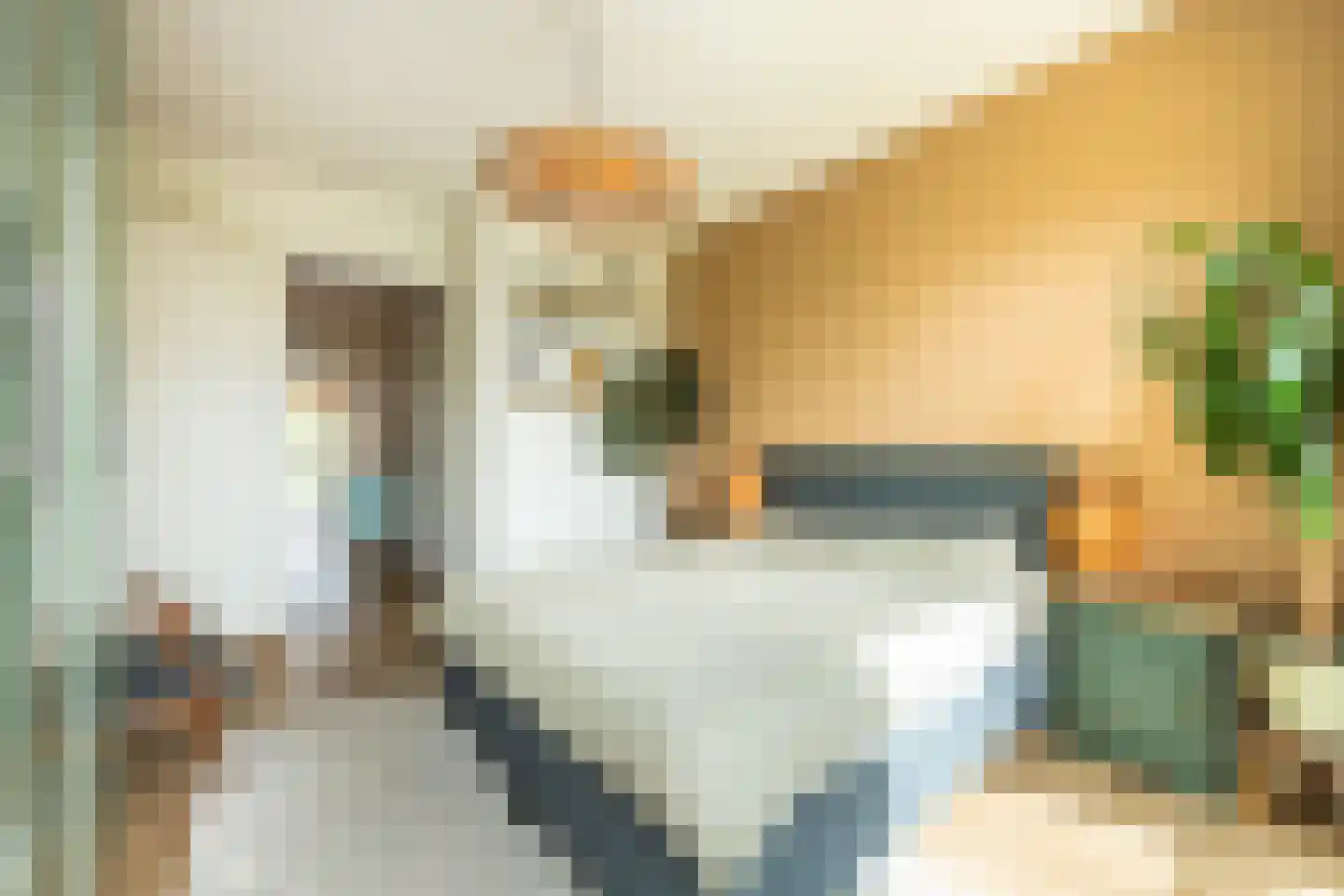 Schoonboomstraat 23 A Amsterdam thumbnail 22