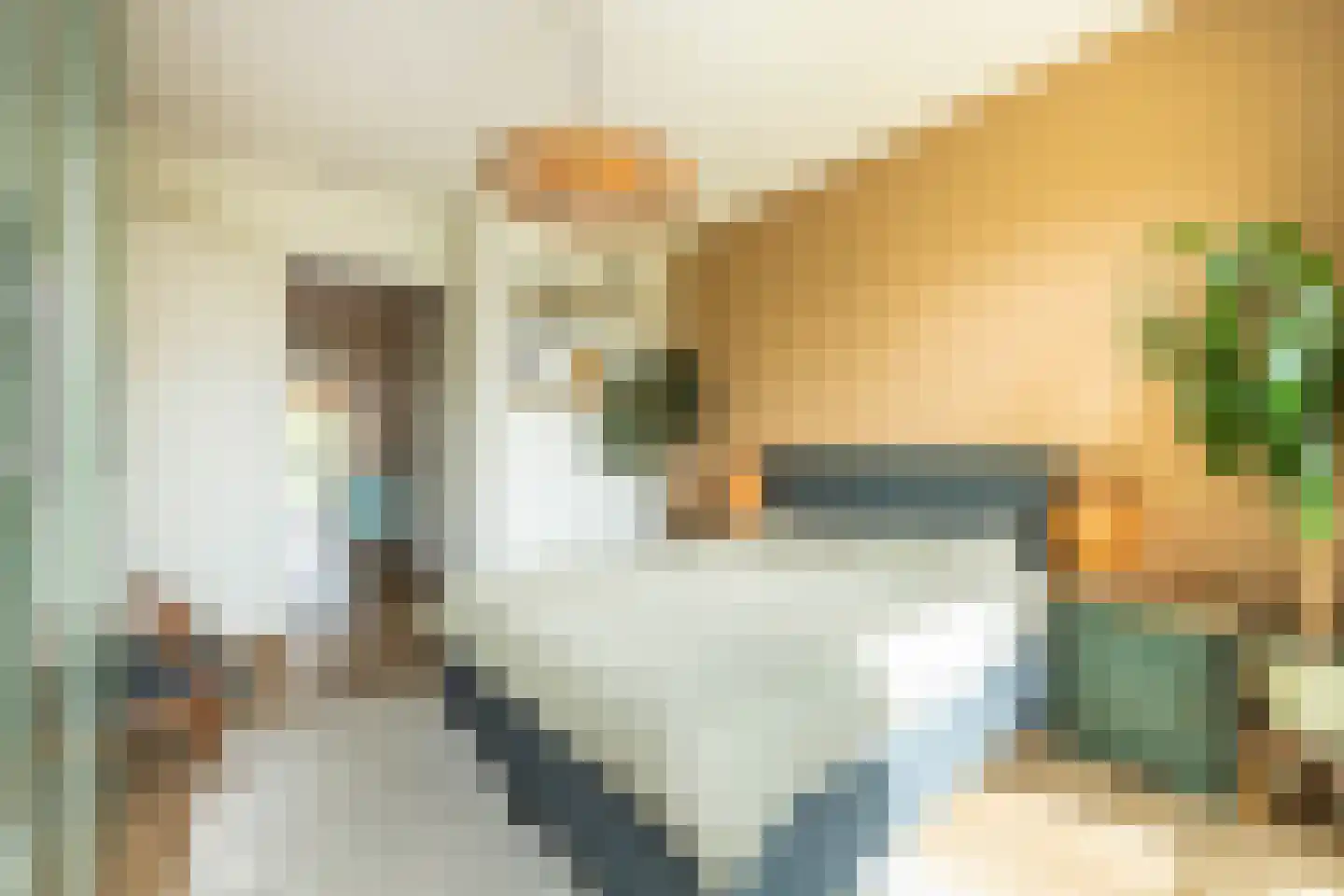 Schoonboomstraat 23 A Amsterdam thumbnail 22