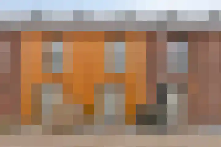 Schoonbraek 12 Best