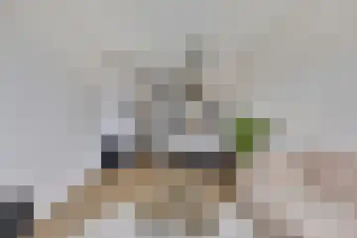 Schoonbraek 12 Best thumbnail 11