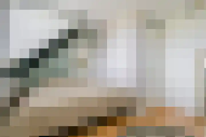 Schoonbraek 12 Best thumbnail 20