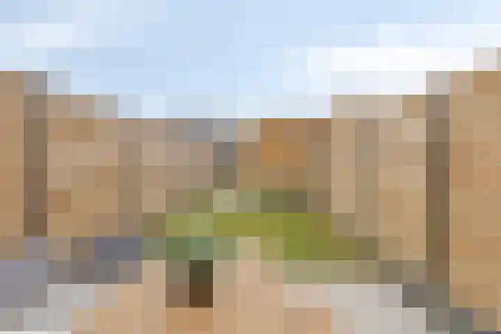 Schoonbraek 12 Best thumbnail 27