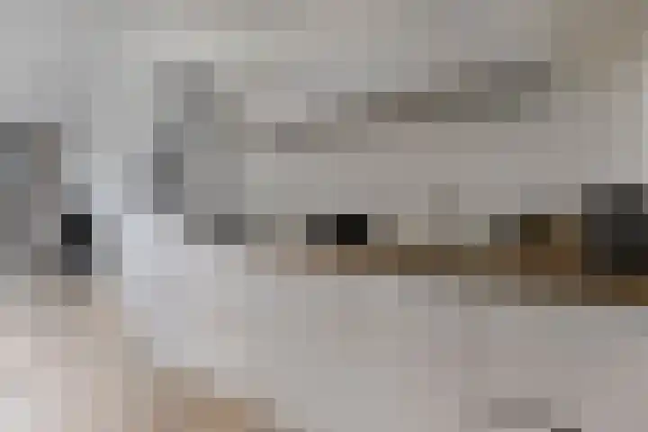 Schoonbraek 12 Best foto 3