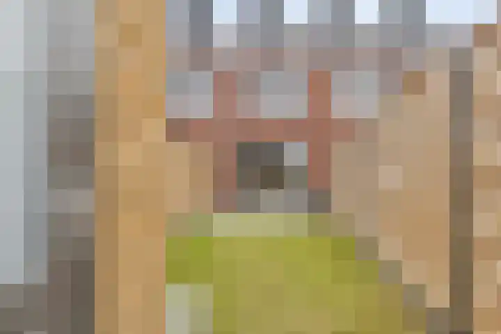 Schoonbraek 12 Best thumbnail 30