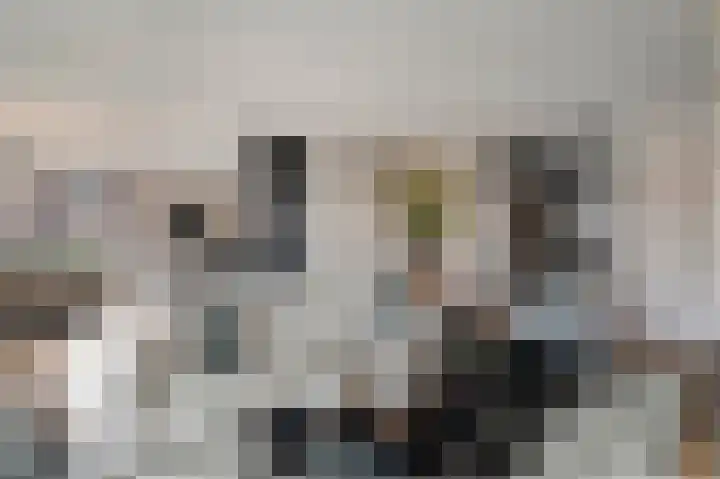 Schoonbraek 12 Best thumbnail 35