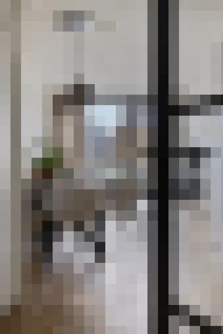 Schoonbraek 12 Best thumbnail 8