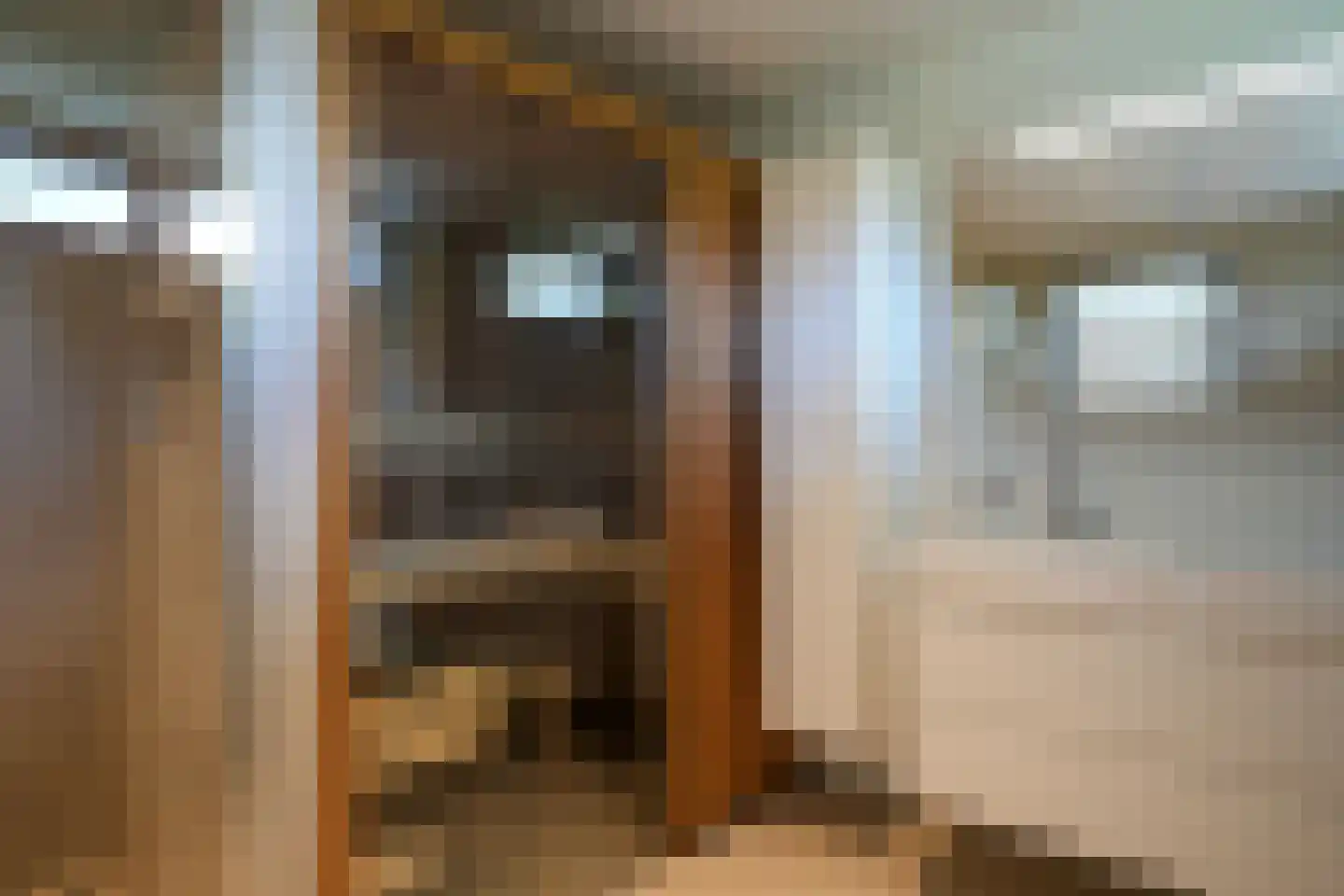 Schoonbronstraat 8 Schin op Geul thumbnail 27