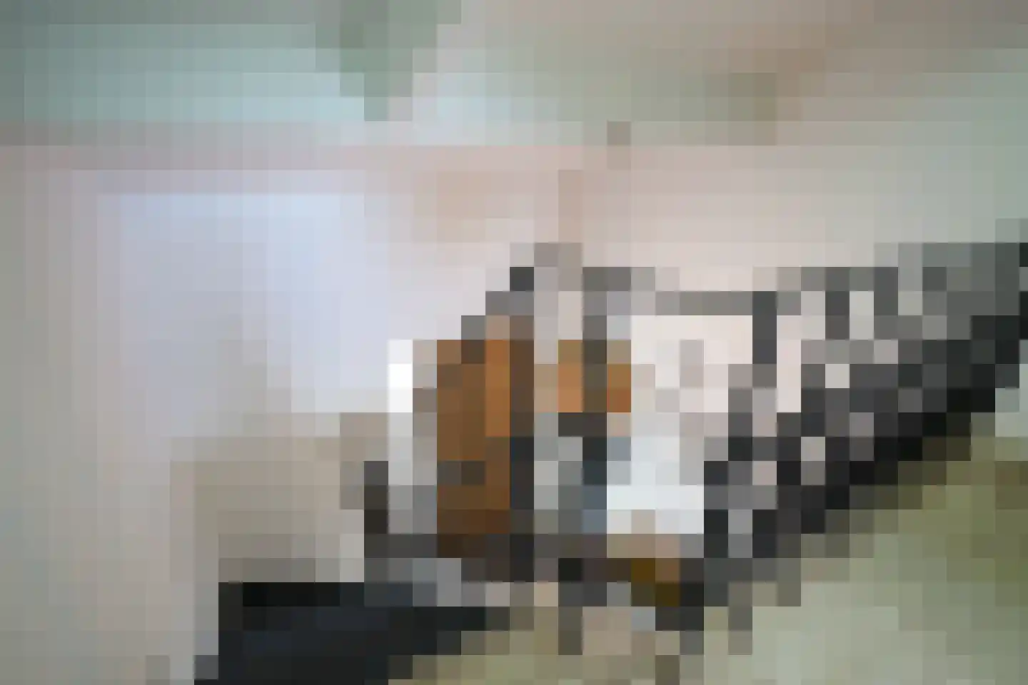 Schoonbronstraat 8 Schin op Geul thumbnail 30