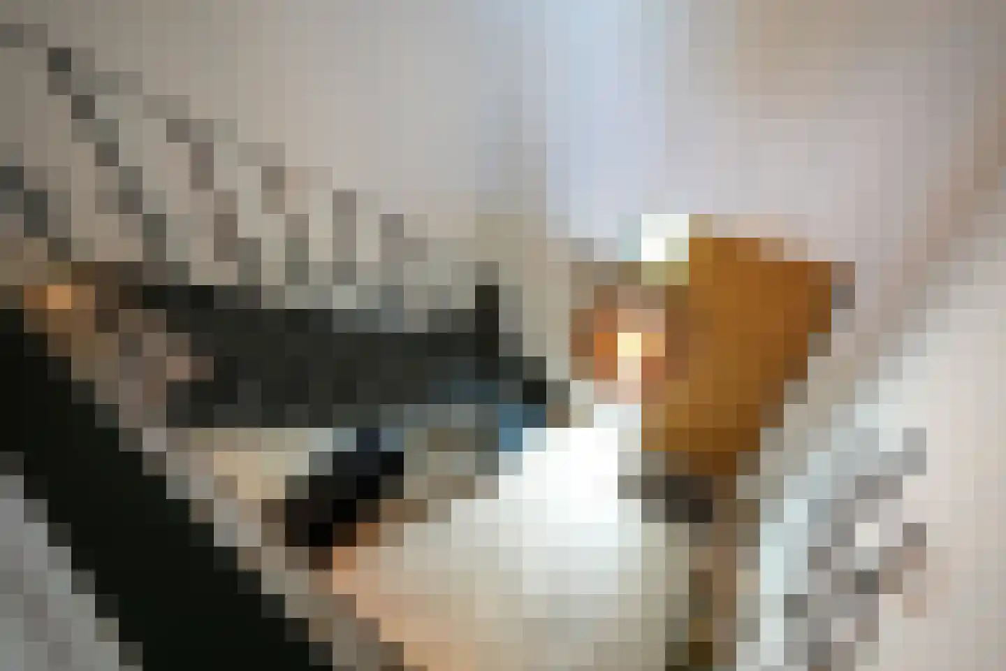 Schoonbronstraat 8 Schin op Geul thumbnail 31