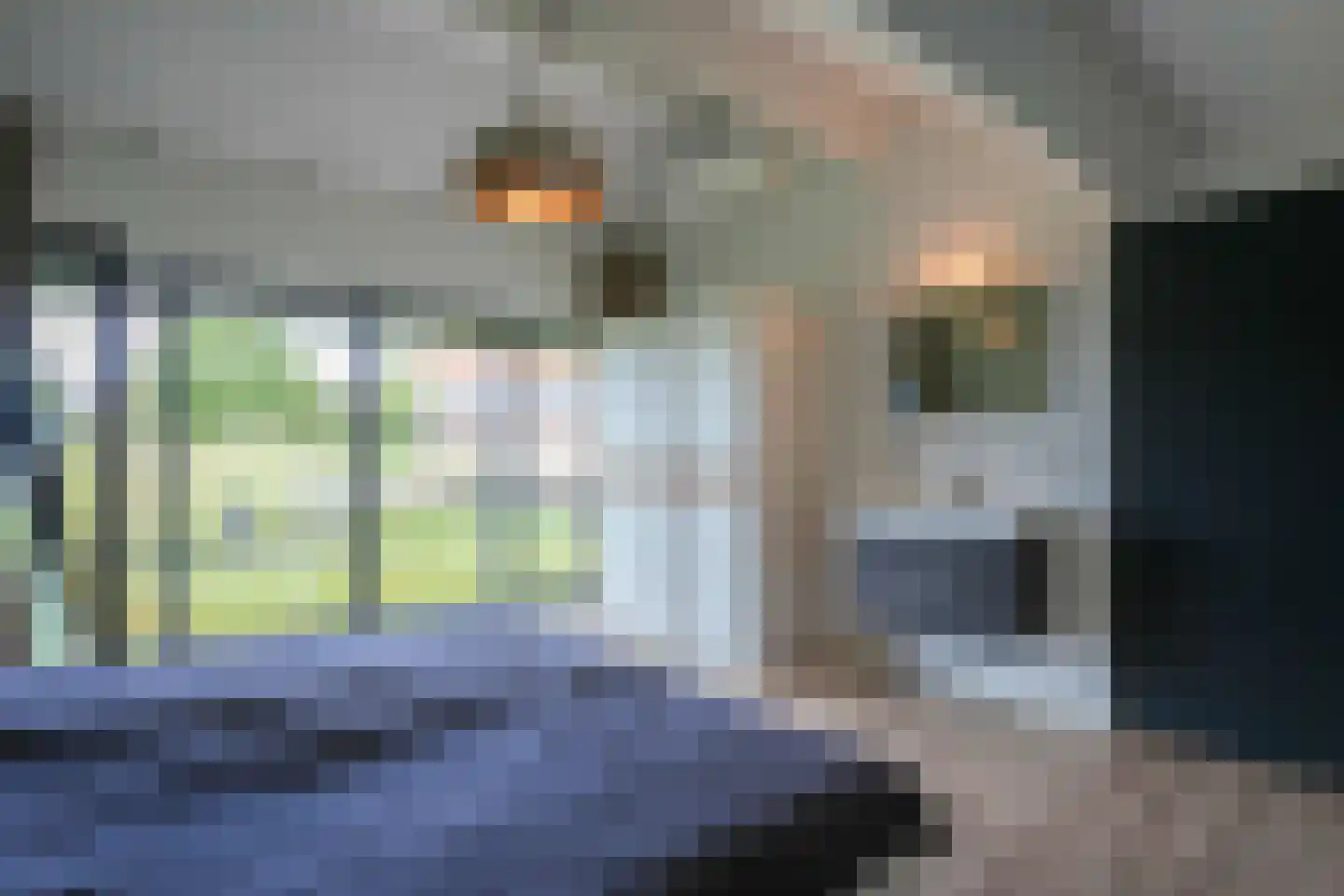 Schoonbronstraat 8 Schin op Geul thumbnail 37